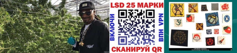 Наркотические марки 1500мкг Сысерть