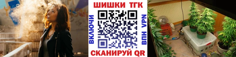 купить   Сысерть  Шишки марихуана Amnesia 